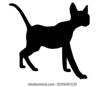 Vector illustration isolated silhouette cat walking