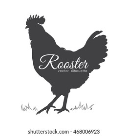Vector illustration: Isolated silhouette of Cock on white background.