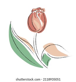 Ilustración vectorial de un esbozo aislado tulipán rojo con hojas verdes y contorno de trazos de carbón negro sobre un fondo blanco. Estilo de arte simple. 8 de marzo. Día Internacional de la Mujer