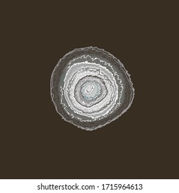 vector illustration of isolated slice of gem stone, striped texture. Nice to do "dotted" prints use it, like the seamless pattern. monochrome. Black, white, shades of grey