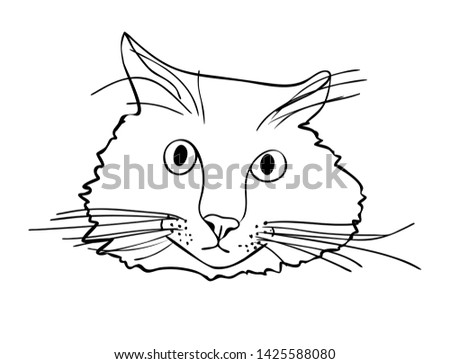 Vector illustration, isolated surprised cat muzzle in black and white colors, outline hand painted drawing