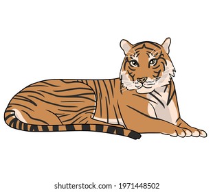 Vector illustration isolated tiger laying down