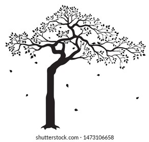 Vector illustration of isolated tree with leaves and two birds in black color on white background. Wall sticker.