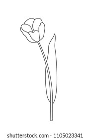 Vector illustration, isolated tulip flower in black and white colors, outline hand painted drawing