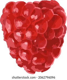 Vector illustration of isolated watercolour red raspberry, isolated summer sweet berry  