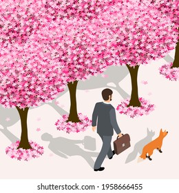  Vector illustration of an isometric businessman  and a fox walking alone cherry blossom lane