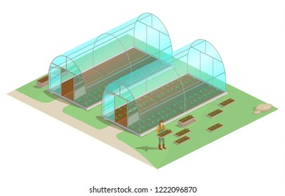 Vector illustration of isometric greenhouse, glass house, cultivation, agriculture, planting, farm.