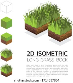 Vector Illustration Isometric Long Grass