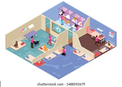 A vector illustration of Isometric People Volunteering in Animal Shelter