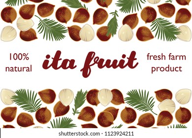 vector illustration of ita fruit and palm leaves design with lettering ita fruit background white and fruit and text fresh farm product 100% natural EPS10