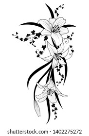 Vector illustration with ivy and flowers of lily in black and white colors