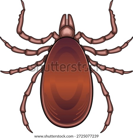 Vector illustration of Ixodes ricinus tick isolated on white. Common wood tick, parasite and carrier of Lyme disease and encephalitis. Realistic anatomical tick icon for medical or educational use.