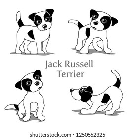 Vector illustration of Jack Russell Terrier in various poses.