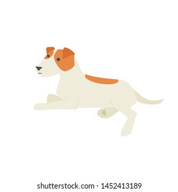 Vector illustration with jack russell terrier dog puppy