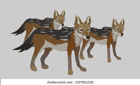 Jackal Cartoon Images Stock Photos Vectors Shutterstock Download 362 cartoon jackal stock illustrations, vectors & clipart for free or amazingly low rates! https www shutterstock com image vector vector illustration jackal 1597851520