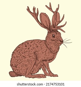 Vektorgrafik des Jackalope Designs. handgezeichnete Linie Stil der dunklen Waldtiere mythischen Tier.