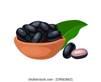 Vector illustration, Jambolan plum or Javanese plum, scientific name Syzygium cumini, isolated on a white background, exotic fruit as a medicinal herb.