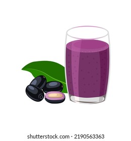 Ilustración vectorial, jugo de ciruela jambolano o ciruela javanesa, nombre científico Syzygium cumini, aislado en un fondo blanco, fruto exótico como hierba medicinal.