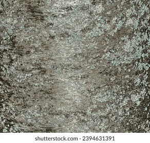 Vector illustration of Japanese cherry tree bark, Prunus serrulata. Texture or background.
