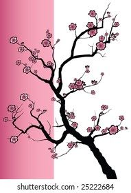 Vector illustration of a Japanese cherry tree in blossom