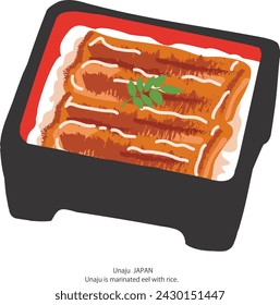Vector illustration of Japanese eel  in a square container
