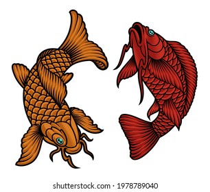 A vector illustration of Japanese koi fish on white background