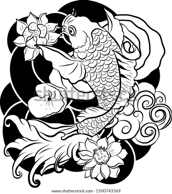 vector illustration of japanese koi fish tattoo style drawing.japan