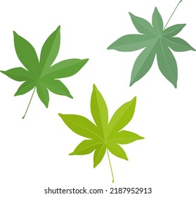 Ilustración vectorial de las hojas de arce japonesas aisladas en el fondo.