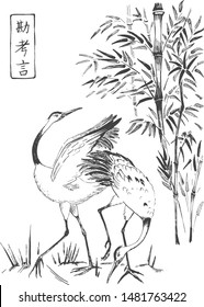 Vector illustration of Japanese oriental composition. Pair of cranes and bamboo. Hieroglyph meaning intuition, think, word. Vintage hand drawn style.