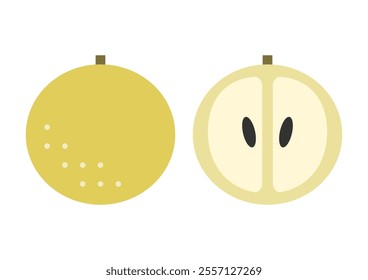 Vector illustration of Japanese Pear. Front view and cross section. Fruits cute icons. White background.