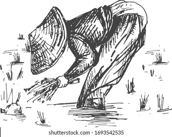 Vector illustration of Japanese rice growing and harvesting set. Rise farmer and worker harvest cereal plants in traditional conical hat. Vintage hand drawn style.