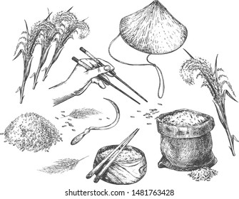 Vector illustration of Japanese rice objects food and tools set. Traditional farmer conical hat, human hand with chopsticks, bowl and sack with cereal, sickle. Vintage hand drawn style.