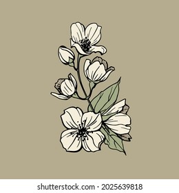 Ilustración vectorial de una rama jazmín. Concepto de bodas.