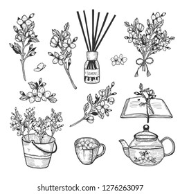 Vector illustration of jasmine herb set. Branch, flowers, bush, bouquet, fragrance, diffuser, book, tea, tea cup, pot, teapot, bucket, decoration. Hand drawn doodle style.