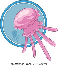 vector illustration of a jelly fish