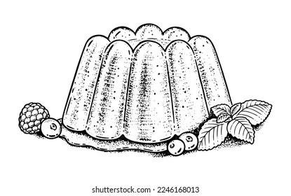 Vector illustration of Jelly. Vintage style drawing isolated on white background.