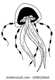 vector illustration of jellyfish