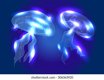 Vector illustration jellyfish