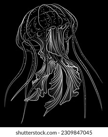 vector  illustration jellyfish black and white