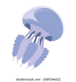 Vector illustration of  jellyfish. Cartoon detailed transparent mediterranean medusa. Barrel jellyfish.