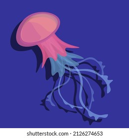 Vector illustration of a jellyfish . Jellyfish in cartoon style. Jellyfish on a minimalistic background.