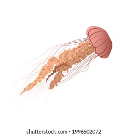vector illustration jellyfish. clip art isolated on white background. EPS 8