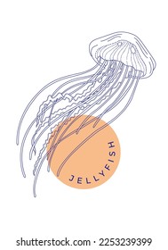 Vector illustration of a jellyfish. Isolated drawing on a white background