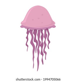 Vector illustration of jellyfish isolated on white background.