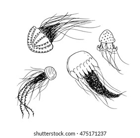 Vector illustration jellyfish. Painted by hand in the doodle.Jellyfish on a white background. Jellyfish isolated. Jellyfish vector. Jellyfish doodle. Jellyfish cartoon. Jellyfish icon. Jellyfish logo.