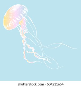 Vector illustration jellyfish. Painted by hand.