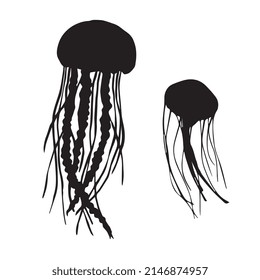 Vector illustration of jellyfish silhouette