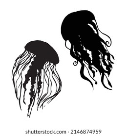 Vector illustration of jellyfish silhouette