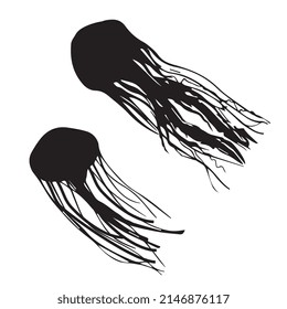 Vector illustration of jellyfish silhouette