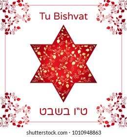 Vector illustration of Jewish holiday. David Star with pomegranate fruits, branches, swirls for greeting card or poster. Text Tu Bishvat on Hebrew, which means the Jewish holiday New Year of the Trees